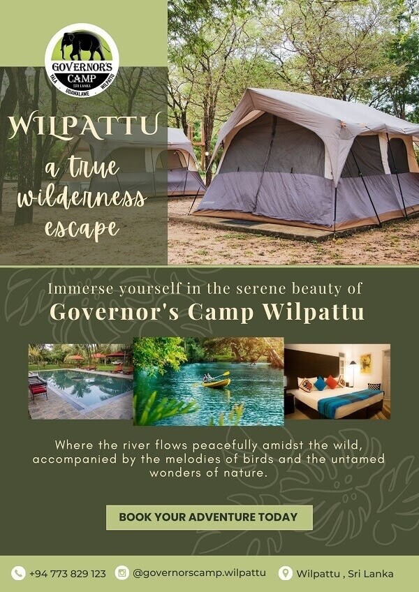 Governors Camp Wilpattu | Experience True Wilderness Adventure in Sri Lanka